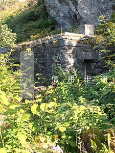 信用卡逾期100元一周 信用卡逾期100元一周