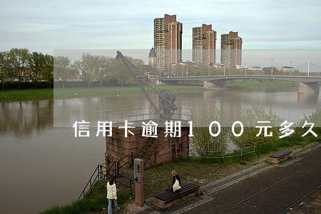 信用卡逾期100元多久会上征信 信用卡逾期100元多久会上征信