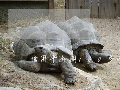 信用卡逾期100多元上征信 信用卡逾期100多元上征信