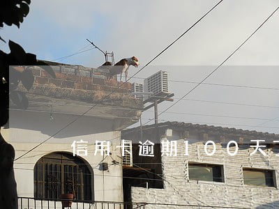 信用卡逾期100天了 信用卡逾期100天了