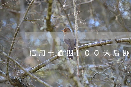 信用卡逾期100天后协商还款
