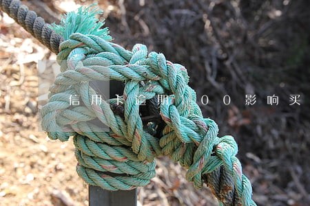 信用卡逾期100影响买房吗 信用卡逾期100影响买房吗