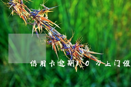 信用卡逾期10万上门催收 信用卡逾期10万上门催收