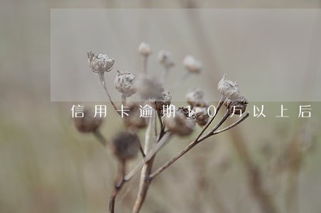 信用卡逾期10万以上后果