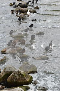 信用卡逾期10万以上无力偿还