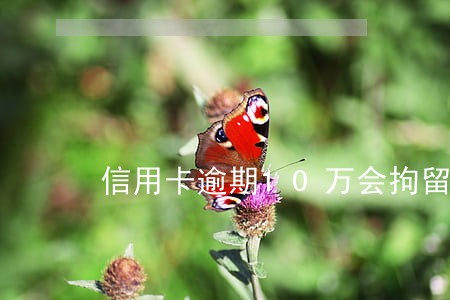 信用卡逾期10万会拘留吗 信用卡逾期10万会拘留吗