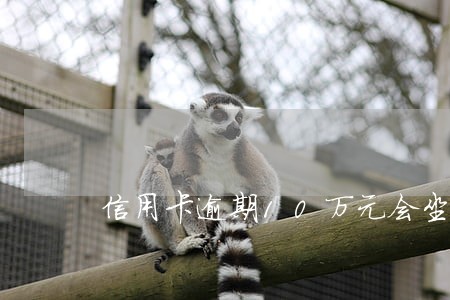信用卡逾期10万元会坐牢几年 信用卡逾期10万元会坐牢几年