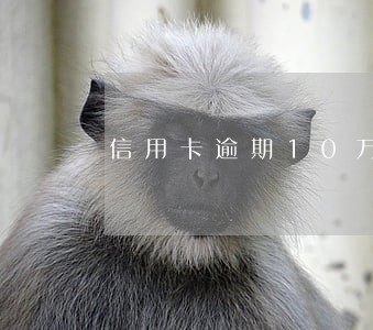 信用卡逾期10万公安上门 信用卡逾期10万公安上门