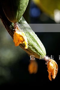 信用卡逾期10万没还怎么办 信用卡逾期10万没还怎么办