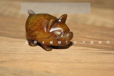 信用卡逾期10万没钱还怎么解决 信用卡逾期10万没钱还怎么解决