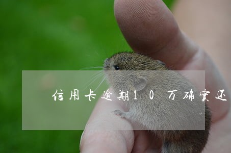 信用卡逾期10万确实还不上怎么解决 信用卡逾期10万确实还不上怎么解决