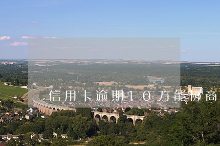 信用卡逾期10万能协商分期还