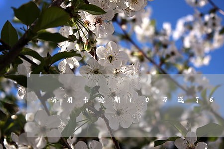 信用卡逾期10万还了6000 信用卡逾期10万还了6000
