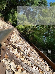 信用卡逾期10个月怎么办理 信用卡逾期10个月怎么办理