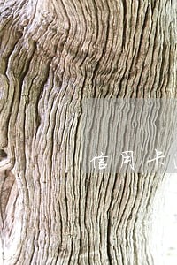 信用卡逾期10个月该怎么处理 信用卡逾期10个月该怎么处理