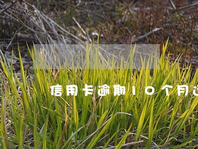 信用卡逾期10个月还了还能用吗