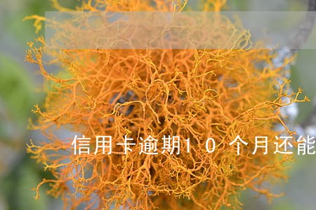 信用卡逾期10个月还能用吗 信用卡逾期10个月还能用吗