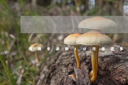 信用卡逾期10元会变多少 信用卡逾期10元会变多少