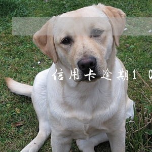 信用卡逾期10元几天供车 信用卡逾期10元几天供车