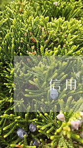 信用卡逾期10元征信规定