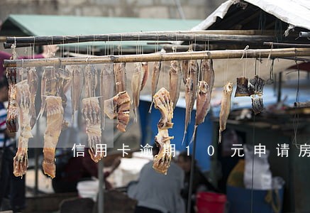 信用卡逾期10元申请房贷 信用卡逾期10元申请房贷