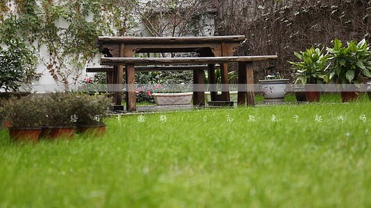 信用卡逾期10元能免于起诉吗 信用卡逾期10元能免于起诉吗