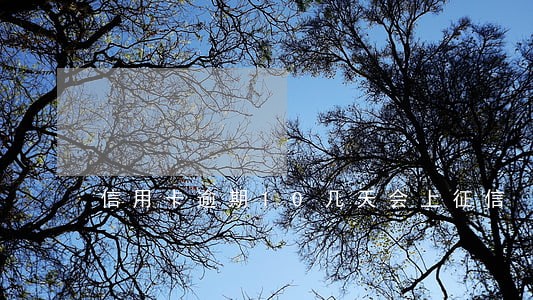 信用卡逾期10几天会上征信 信用卡逾期10几天会上征信