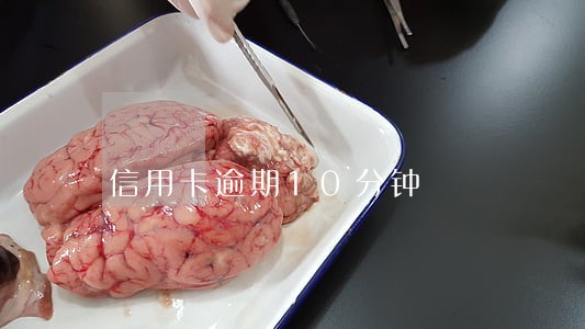 信用卡逾期10分钟 信用卡逾期10分钟