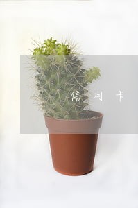 信用卡逾期10分钟算逾期吗中国 信用卡逾期10分钟算逾期吗中国