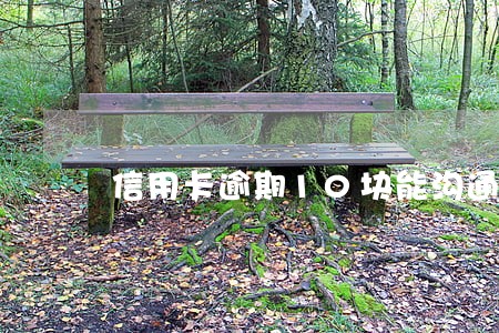 信用卡逾期10块能沟通处理吗 信用卡逾期10块能沟通处理吗