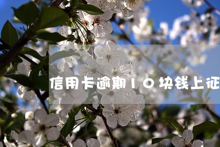 信用卡逾期10块钱上征信