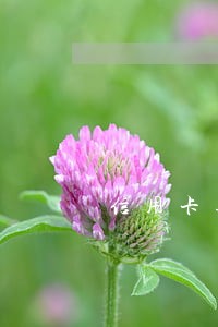 信用卡逾期10块钱怎么办 信用卡逾期10块钱怎么办