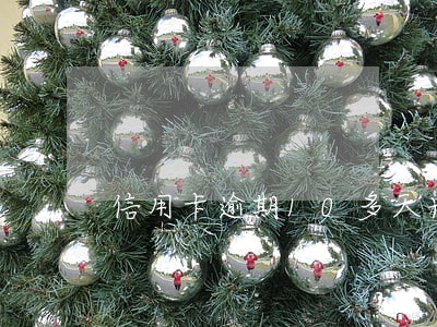 信用卡逾期10多天光大 信用卡逾期10多天光大