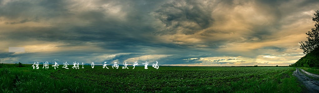 信用卡逾期10天两次严重吗 信用卡逾期10天两次严重吗