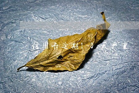 信用卡逾期10天严重 信用卡逾期10天严重