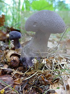 信用卡逾期10天以内怎么办 信用卡逾期10天以内怎么办