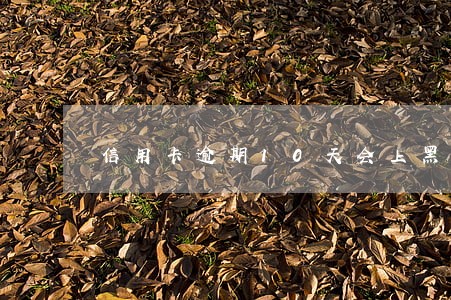 信用卡逾期10天会上黑名单吗
