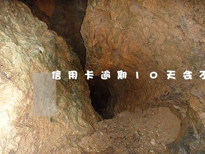 信用卡逾期10天会不会被冻结 信用卡逾期10天会不会被冻结