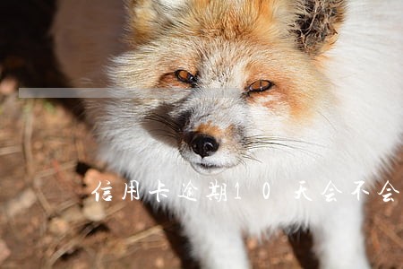 信用卡逾期10天会不会被绛额 信用卡逾期10天会不会被绛额