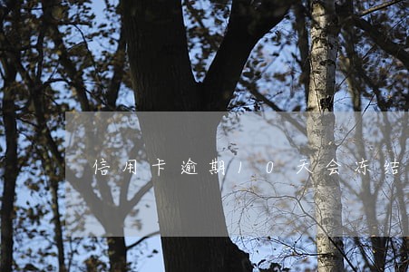 信用卡逾期10天会冻结吗 信用卡逾期10天会冻结吗