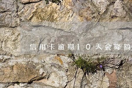 信用卡逾期10天会降额不