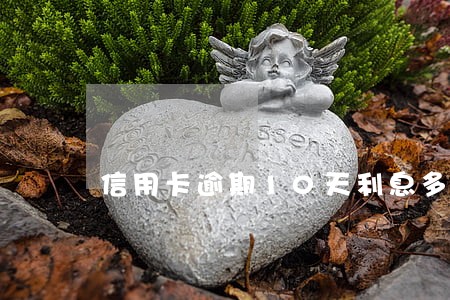 信用卡逾期10天利息多少 信用卡逾期10天利息多少