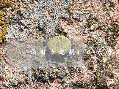 信用卡逾期10天多久上征信 信用卡逾期10天多久上征信