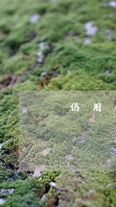 信用卡逾期10天征信 信用卡逾期10天征信