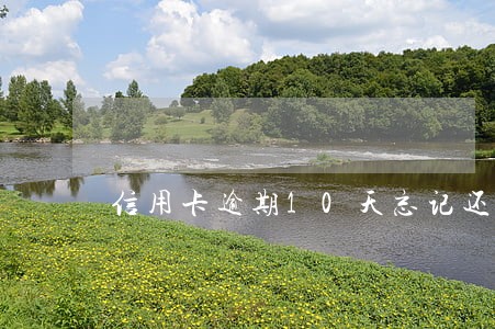 信用卡逾期10天忘记还款 信用卡逾期10天忘记还款