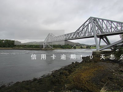 信用卡逾期10天怎么减免费用
