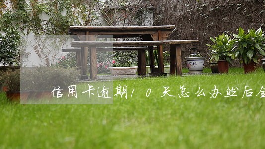 信用卡逾期10天怎么办然后全部还清咋办 信用卡逾期10天怎么办然后全部还清咋办