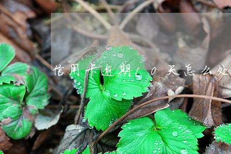 信用卡逾期10天怎么处理方法