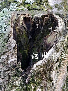 信用卡逾期10天怎么算 信用卡逾期10天怎么算