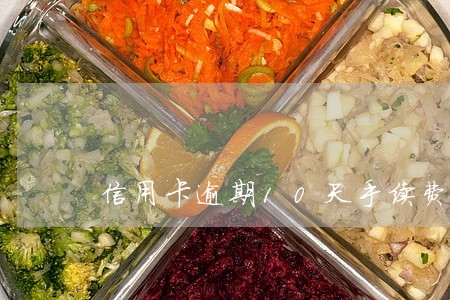 信用卡逾期10天手续费 信用卡逾期10天手续费